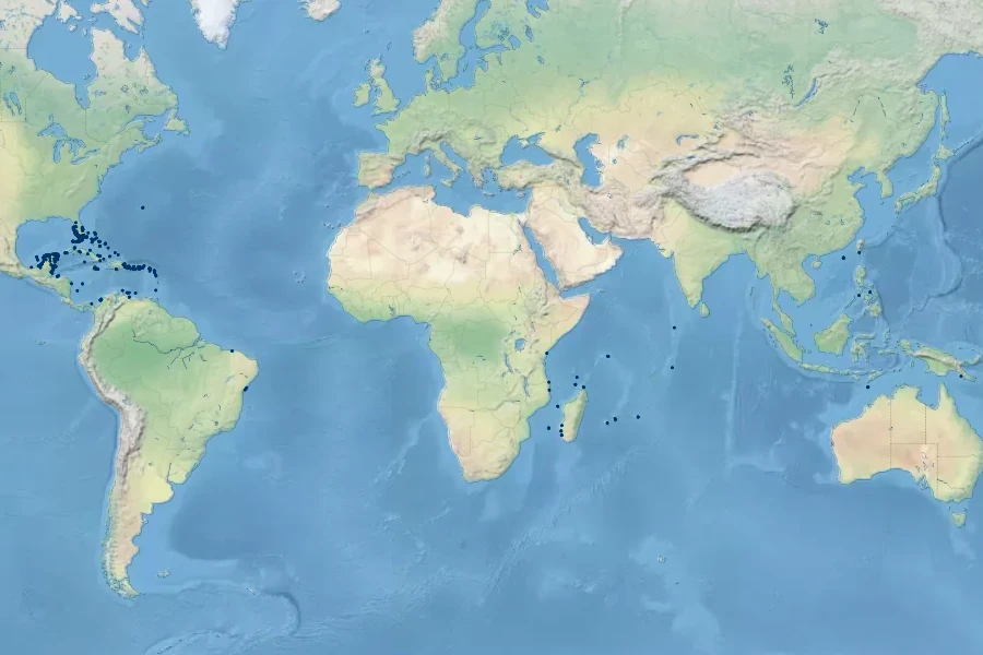 Suriana maritima Native Range