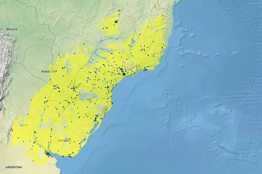 Syagrus romanzoffiana Native Range