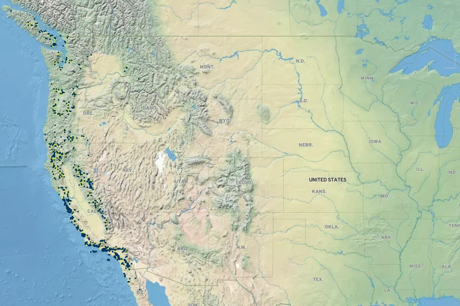 Symphoricarpos mollis Native Range