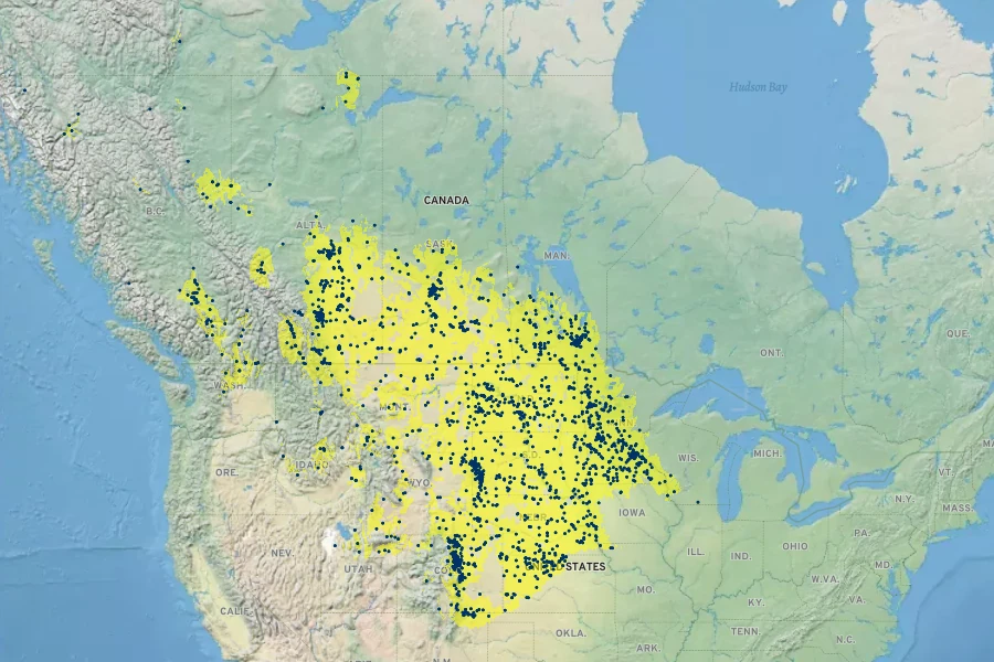Symphoricarpos occidentalis Native Range