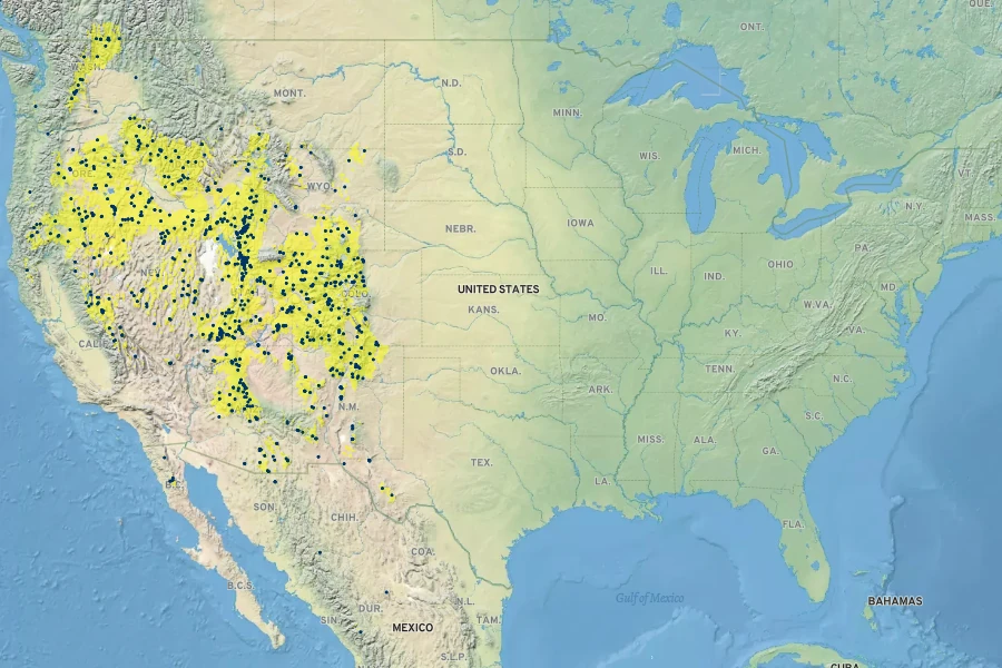 Symphoricarpos oreophilus Native Range