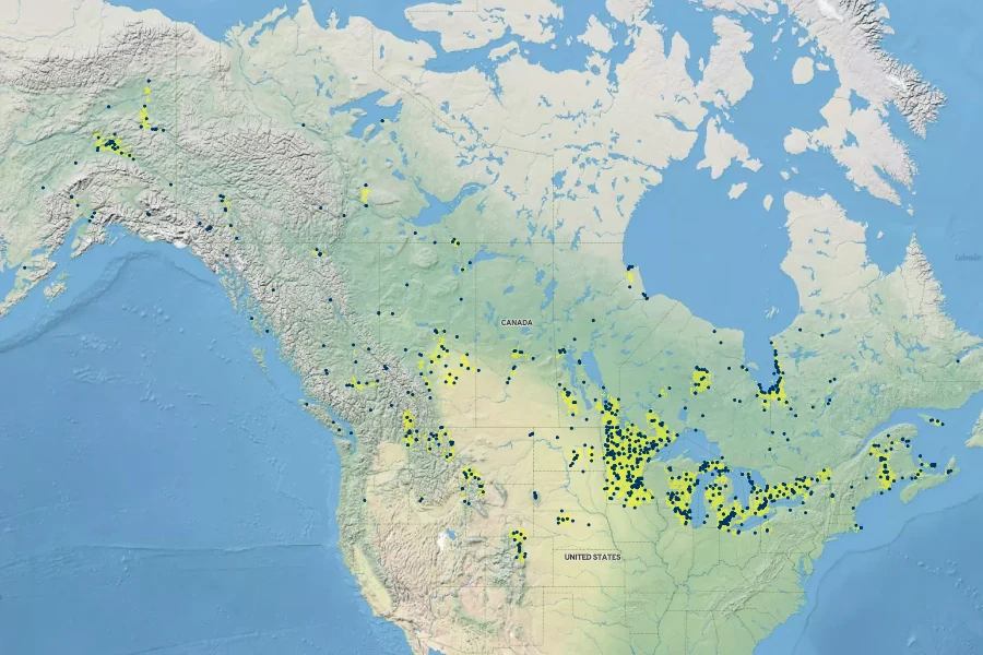 Symphyotrichum boreale Native Range