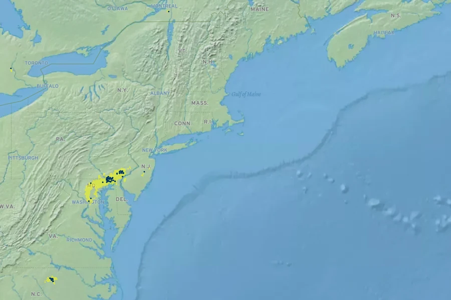 Symphyotrichum depauperatum Native Range