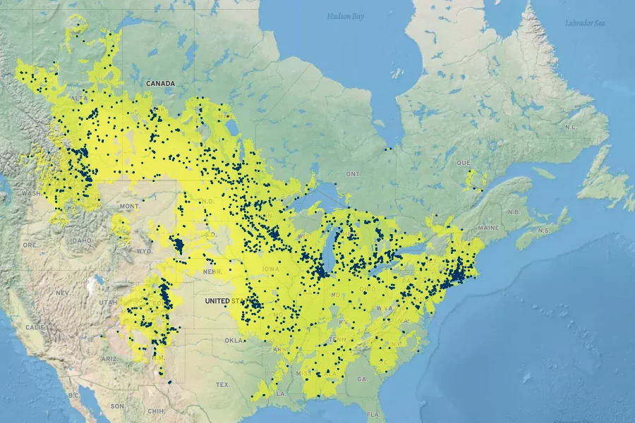 Symphyotrichum laeve Native Range