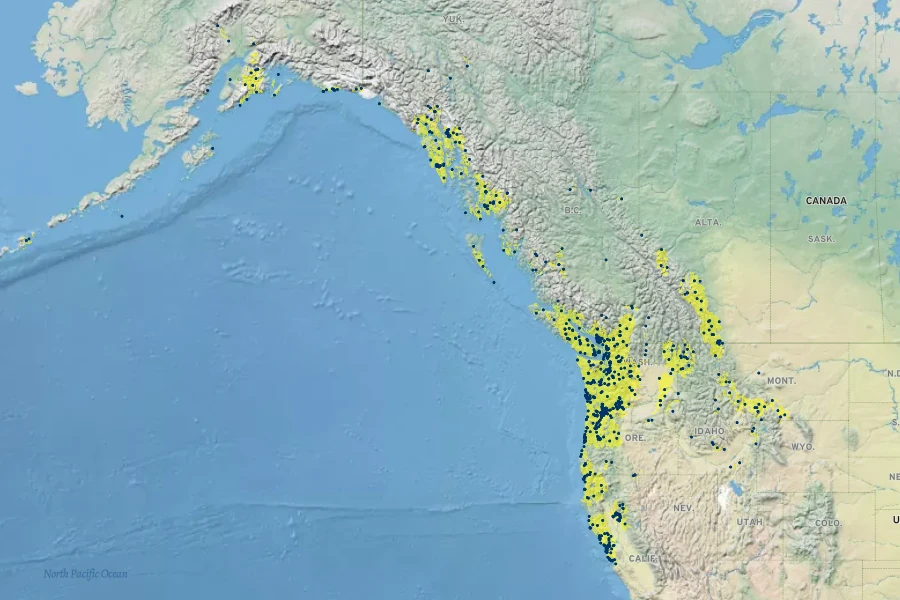 Symphyotrichum subspicatum Native Range