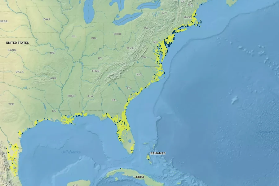 Symphyotrichum subulatum Native Range