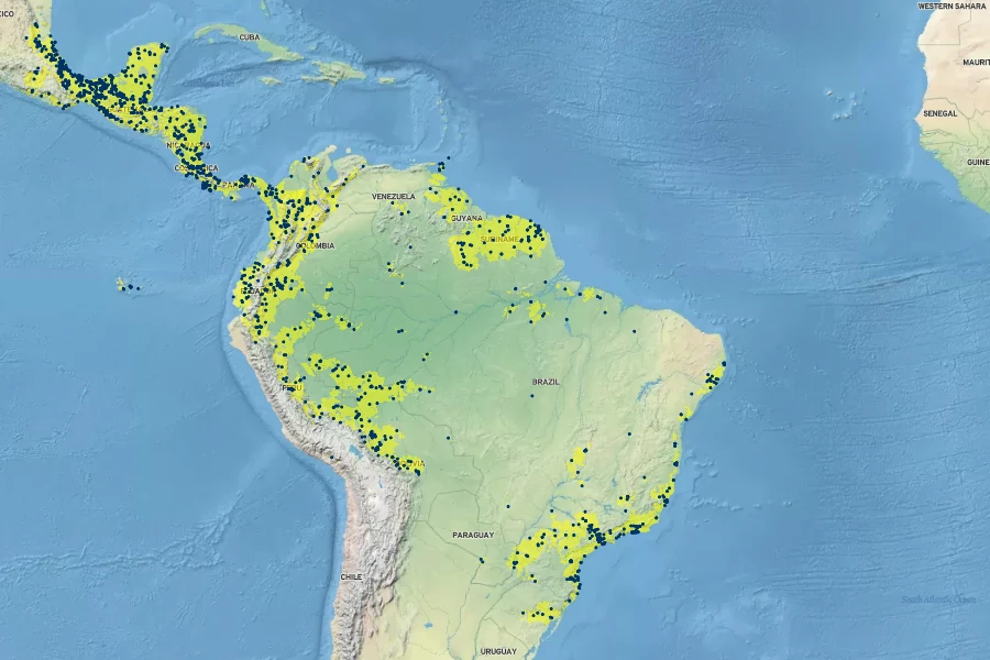 Syngonium podophyllum Native Range