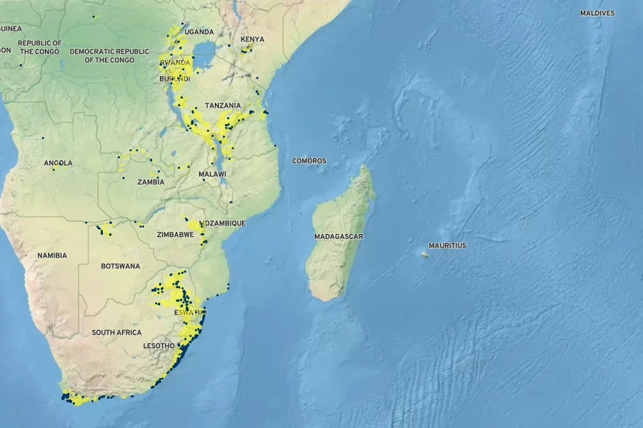 Syzygium cordatum Native Range