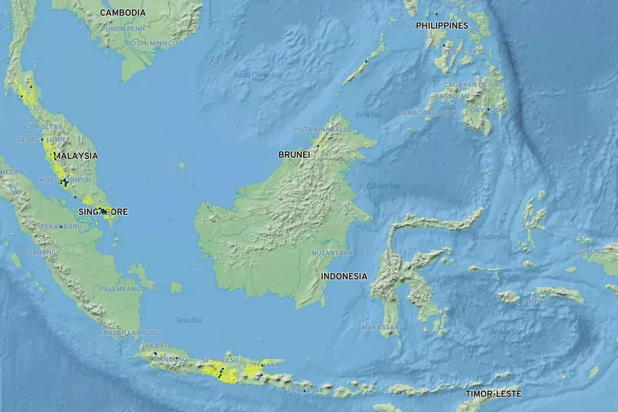 Syzygium myrtifolium Native Range