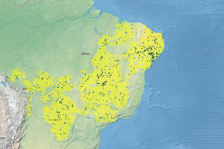 Tabebuia aurea Native Range