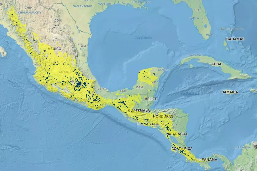 Tagetes tenuifolia Native Range