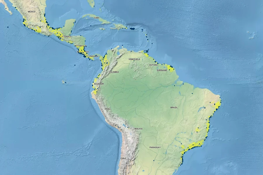 Talipariti pernambucense Native Range