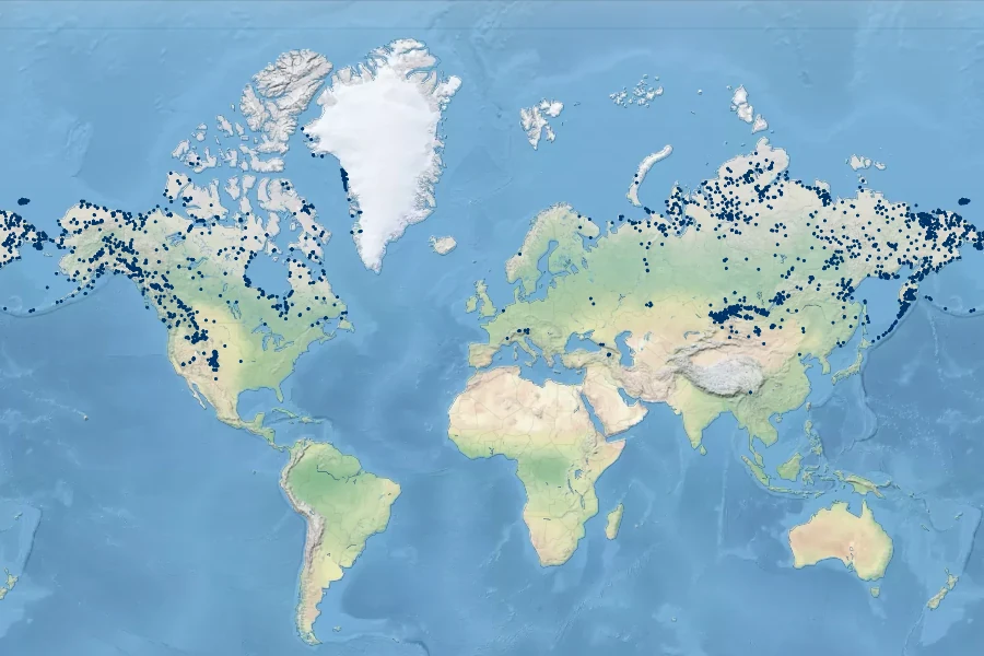 Taraxacum ceratophorum Native Range