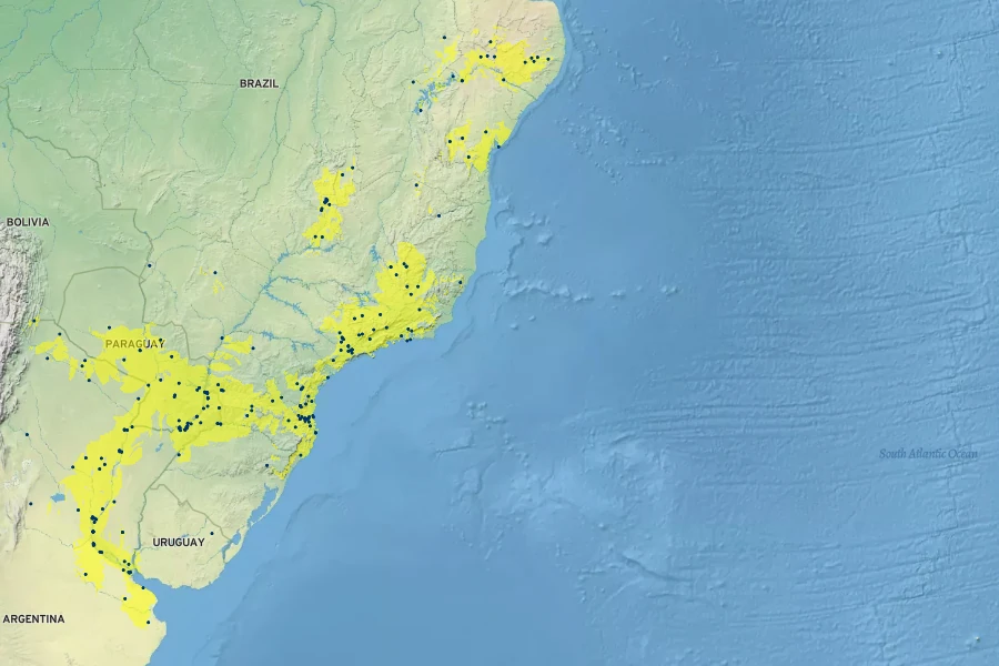 Tarenaya houtteana Native Range