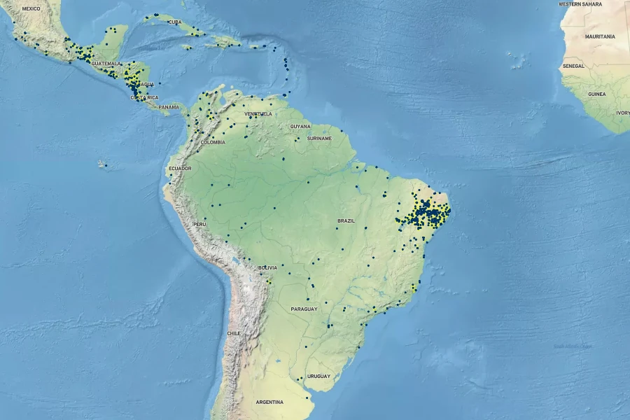 Tarenaya spinosa Native Range