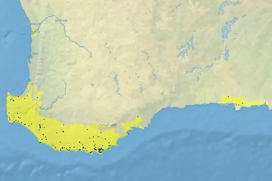 Taxandria juniperina Native Range