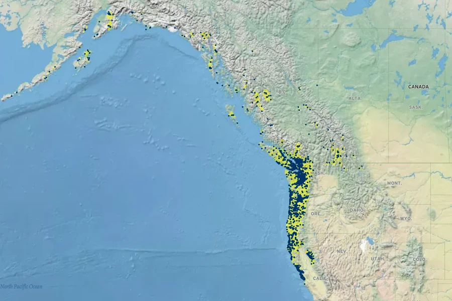 Tellima grandiflora Native Range