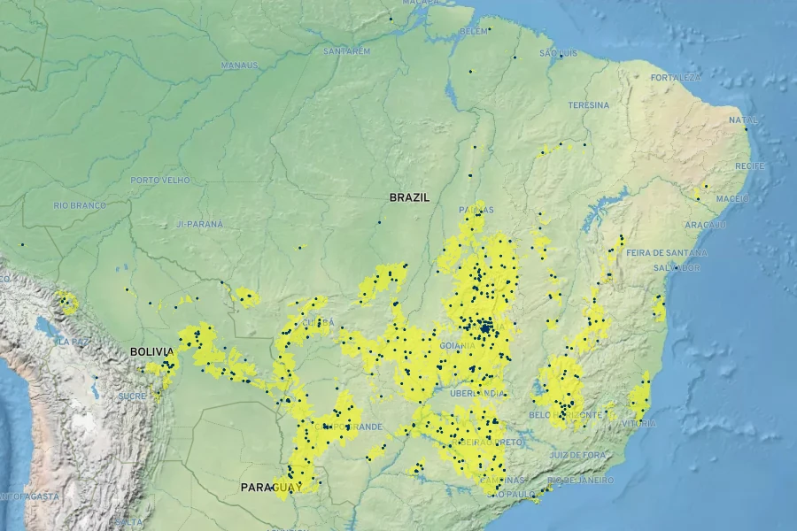 Terminalia argentea Native Range