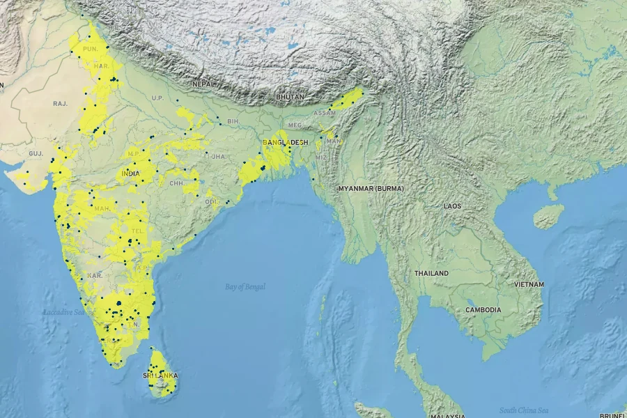 Terminalia arjuna Native Range