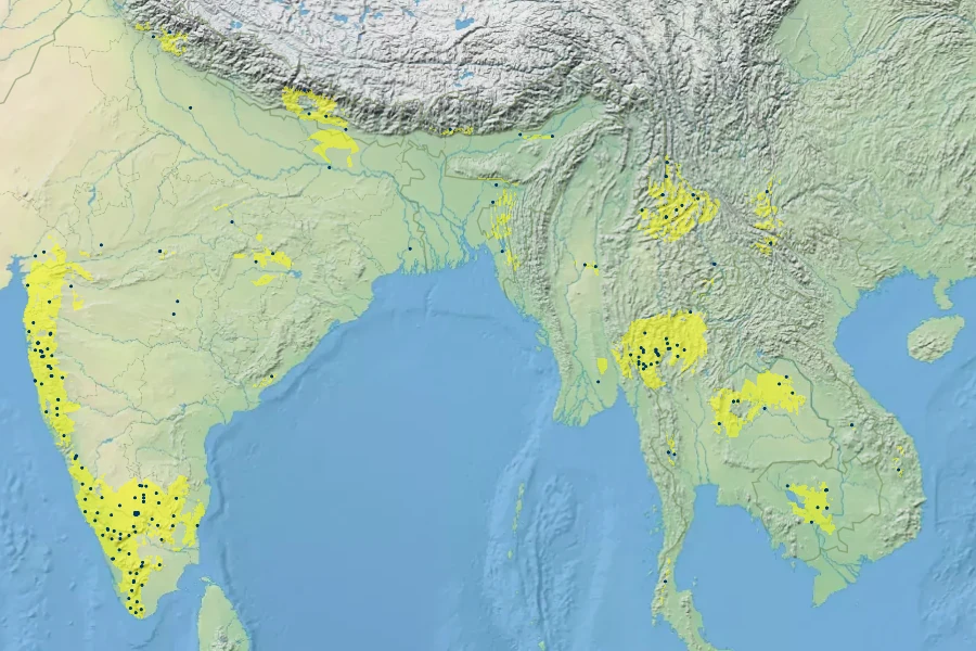 Terminalia chebula Native Range