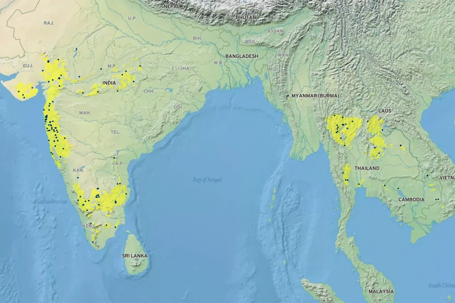 Terminalia elliptica Native Range