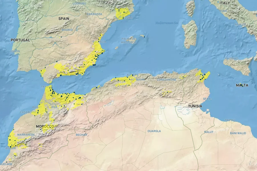 Tetraclinis articulata Native Range