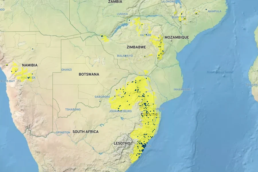 Tetradenia riparia Native Range