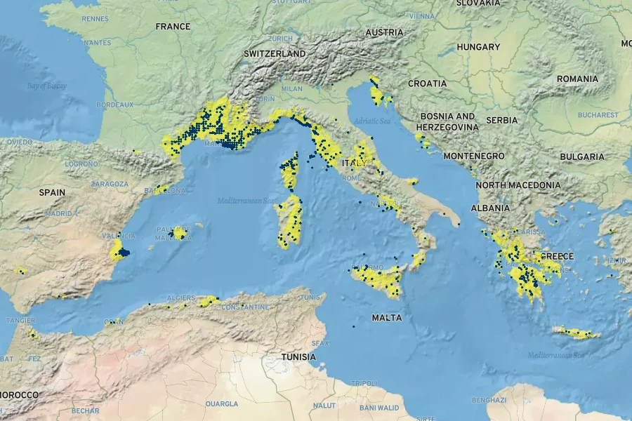 Teucrium flavum Native Range