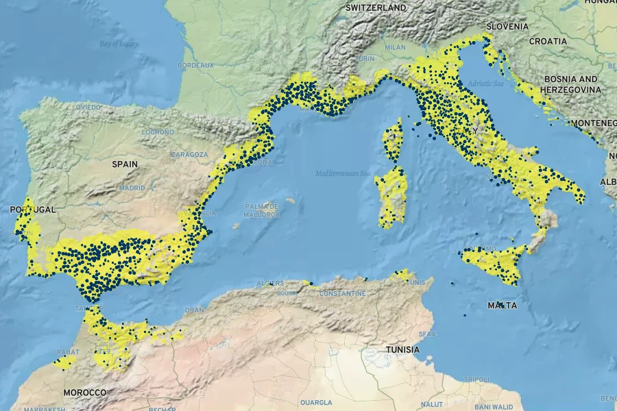 Teucrium fruticans Native Range