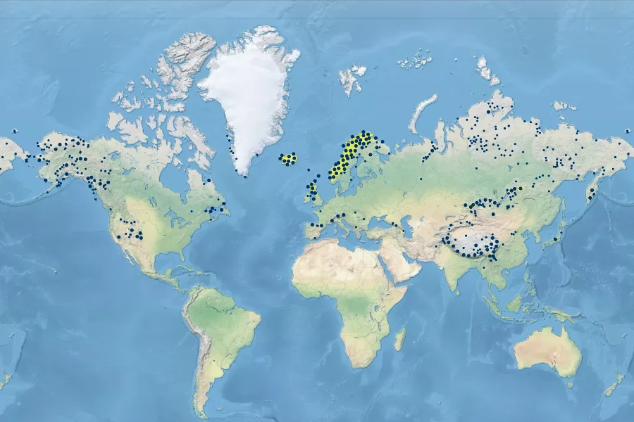 Thalictrum alpinum Native Range