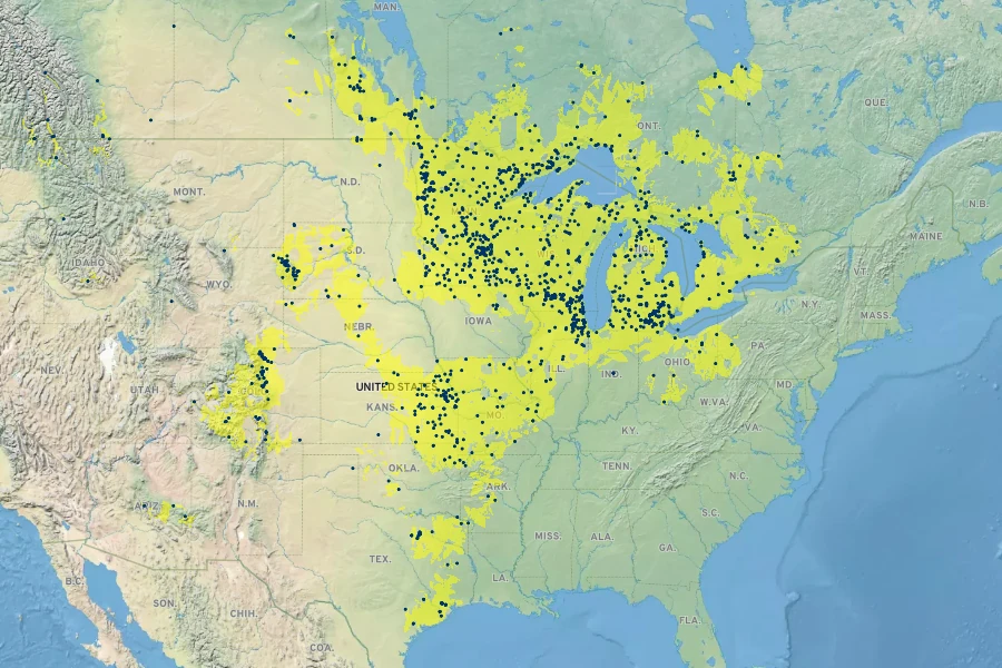 Thalictrum dasycarpum Native Range