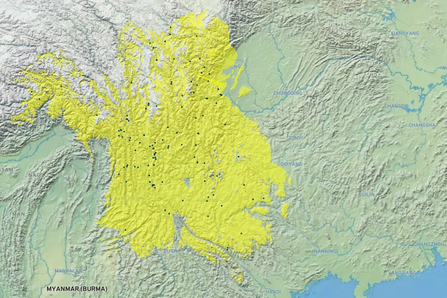 Thalictrum delavayi Native Range