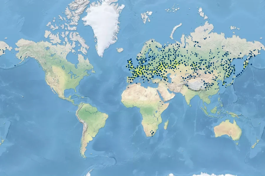 Thalictrum minus Native Range