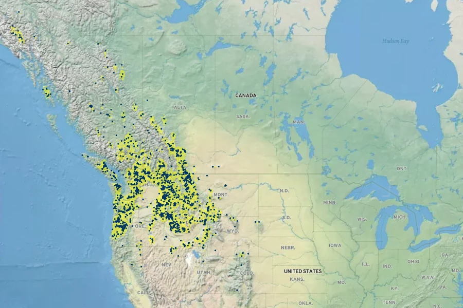 Thalictrum occidentale Native Range