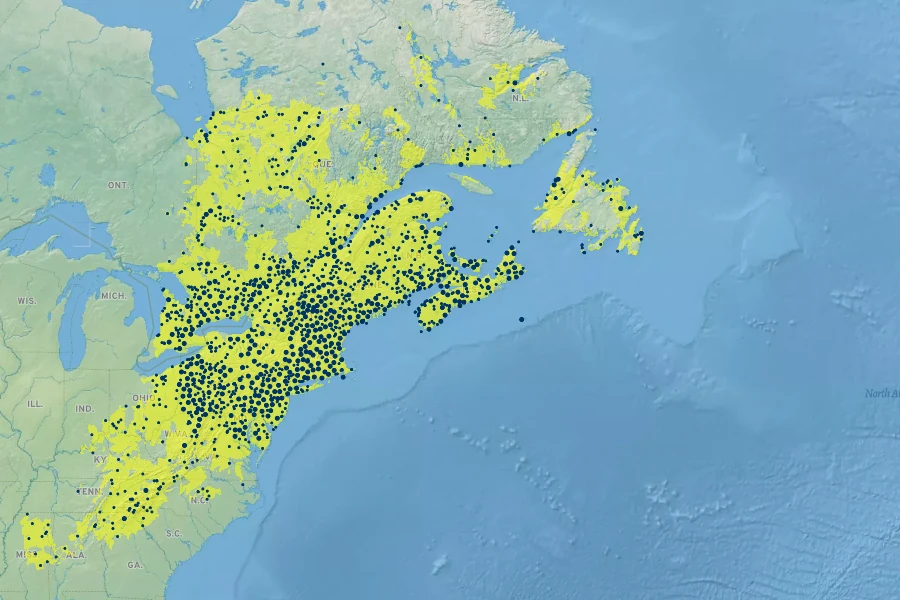 Thalictrum pubescens Native Range