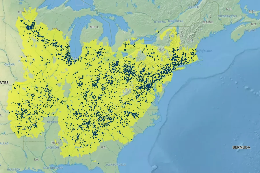 Thalictrum thalictroides Native Range