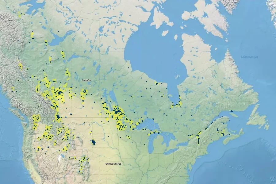 Thalictrum venulosum Native Range