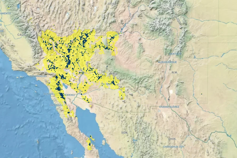 Thamnosma montana Native Range