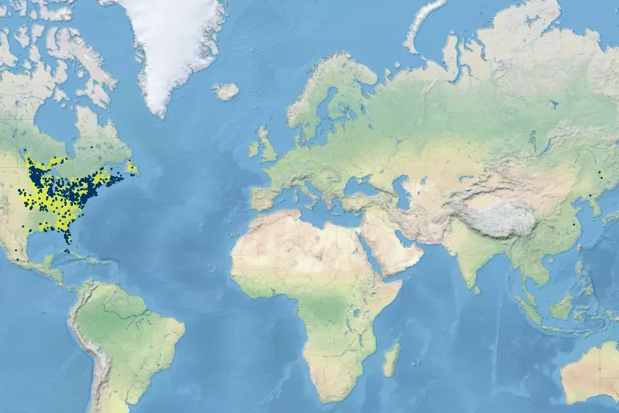 Thelypteris palustris subsp. pubescens Native Range