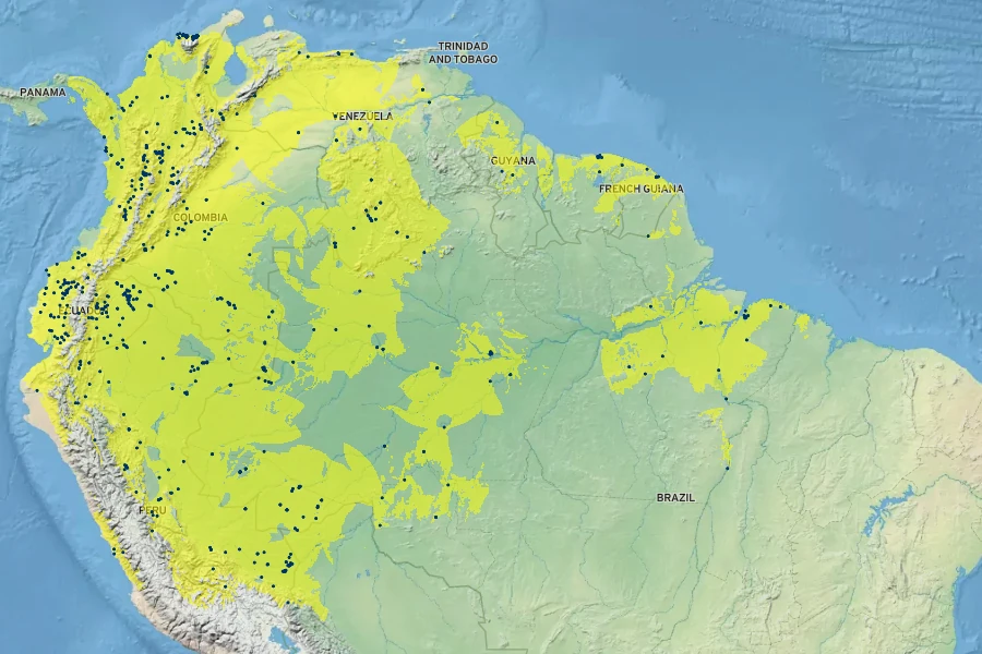 Theobroma cacao Native Range