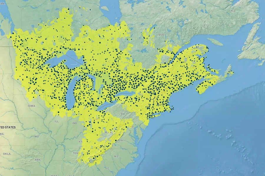 Thuja occidentalis Native Range