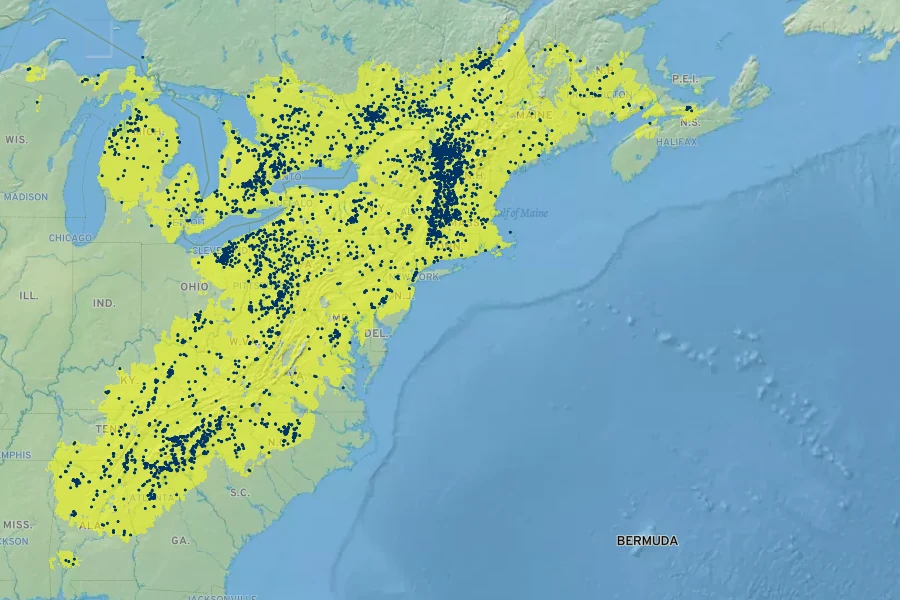 Tiarella cordifolia Native Range