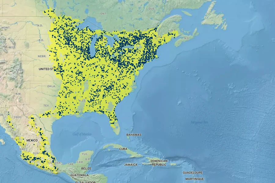 Tilia americana Native Range