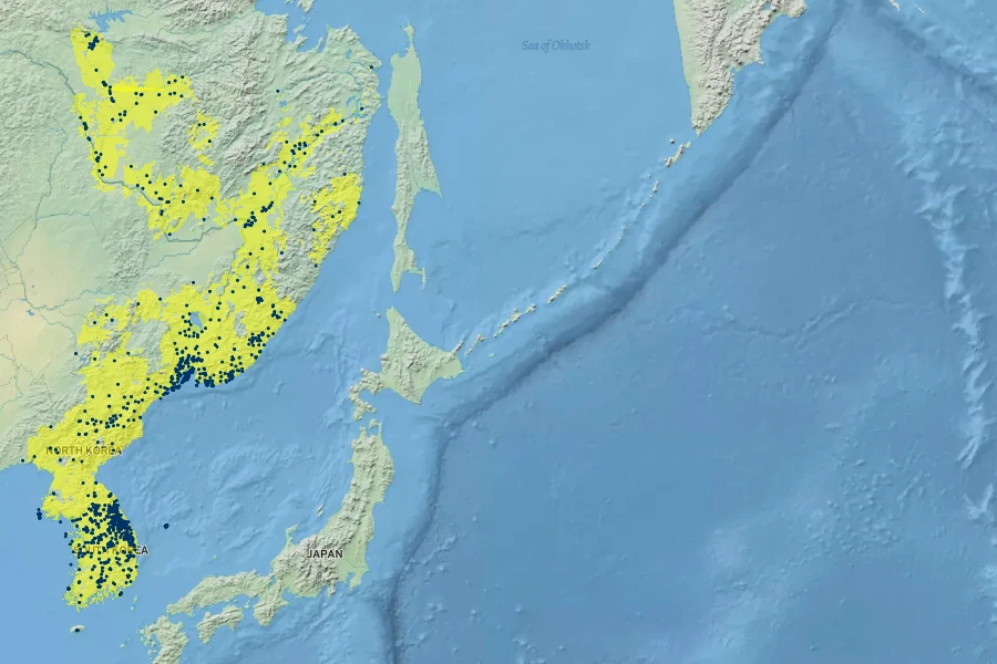 Tilia amurensis Native Range