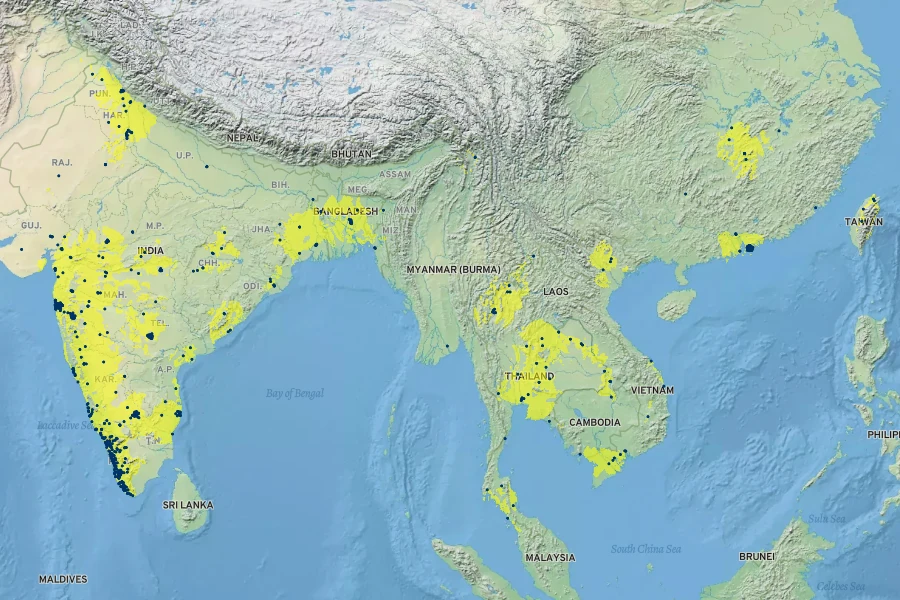 Torenia fournieri Native Range