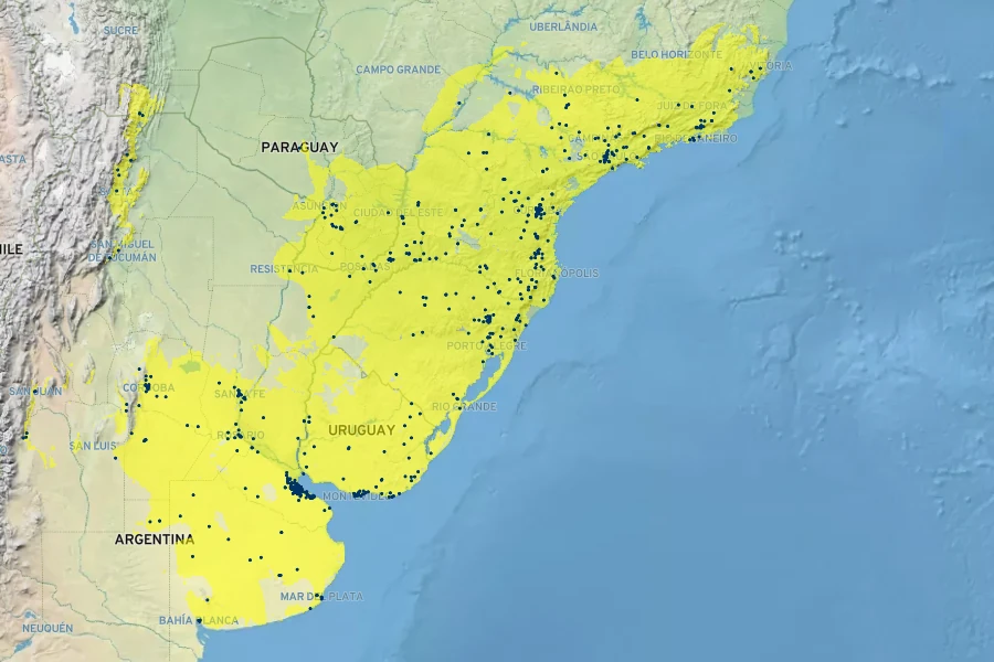 Tradescantia fluminensis Native Range