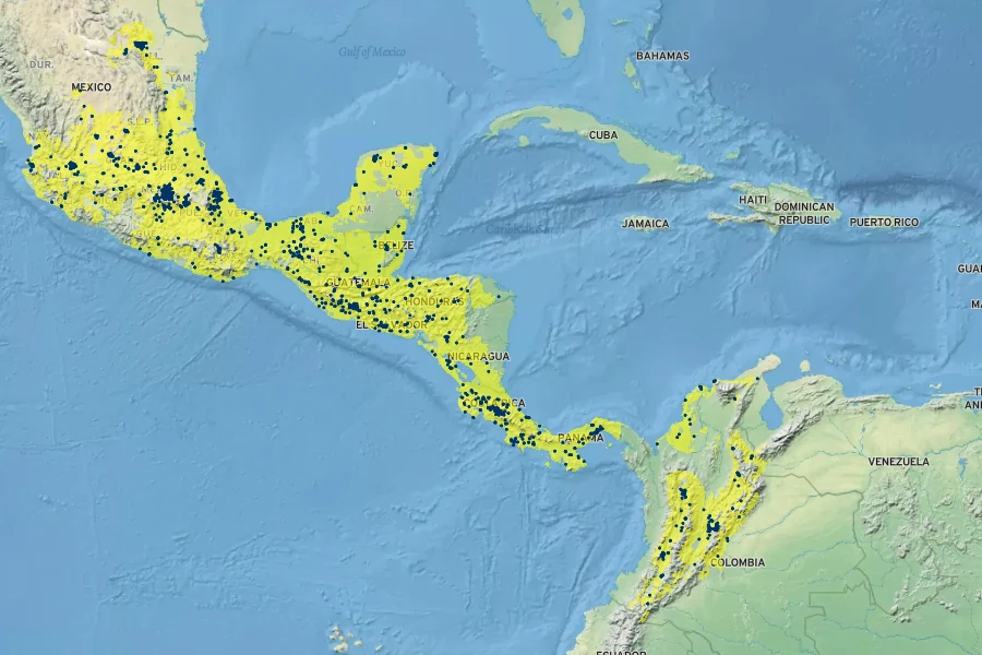 Tradescantia zebrina Native Range