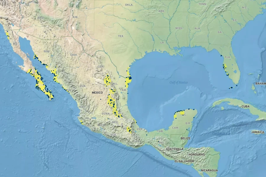 Tricerma phyllanthoides Native Range