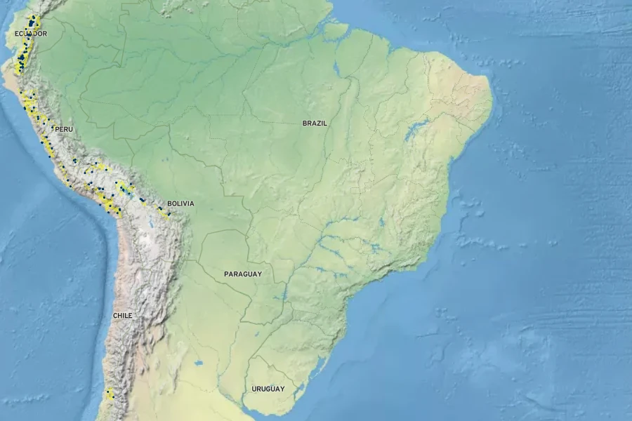 Trichocereus macrogonus var. pachanoi Native Range