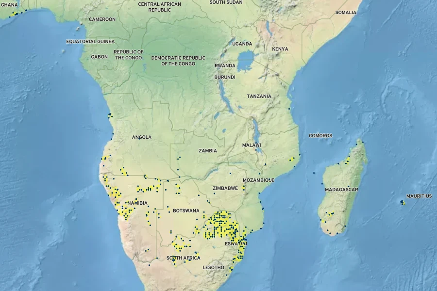 Tricholaena monachne Native Range